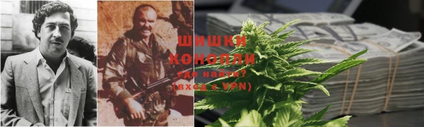 стаф Аркадак