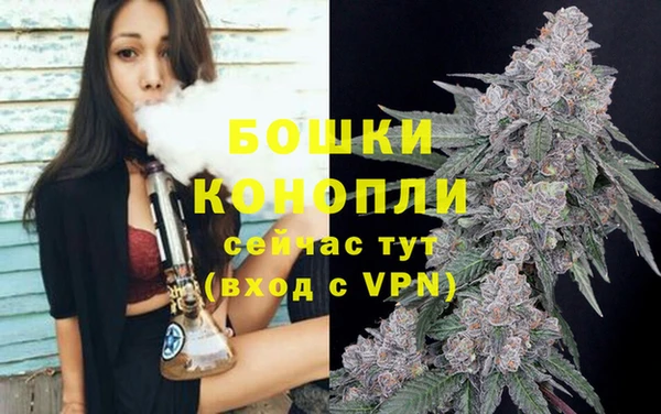 стаф Аркадак