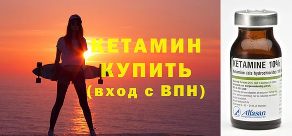 стаф Аркадак