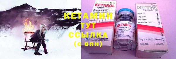 стаф Аркадак