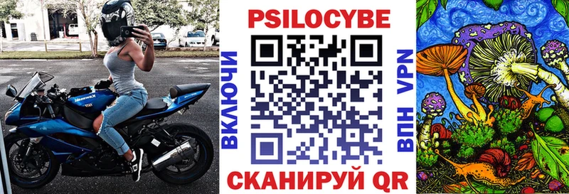 Псилоцибиновые грибы мицелий  Ковылкино 
