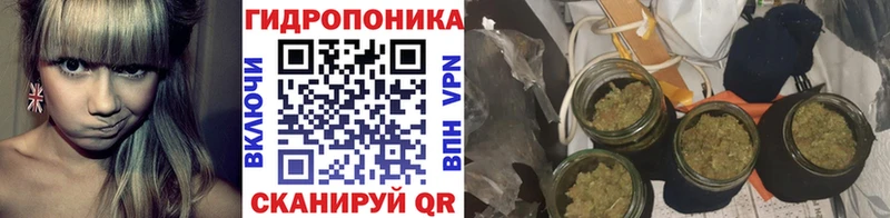 хочу наркоту  Ковылкино  Марихуана гибрид 